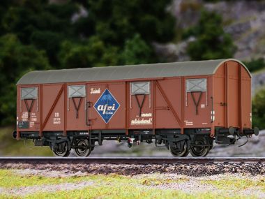 Gedeckter Güterwagen GLMHS 50 „AFRI COLA” DER DB